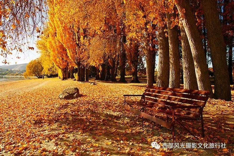 一生必看的100部顶级纪录片，不要把生命献给无知